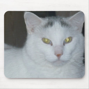 Mousepad Gatos Pensamentos Brancos