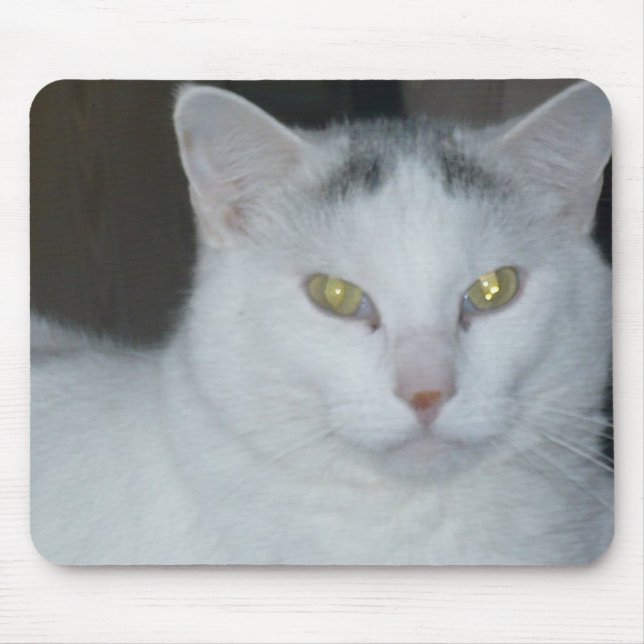 Mousepad Gatos Pensamentos Brancos (Frente)