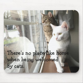 Mousepad Gatos sentados pela janela
