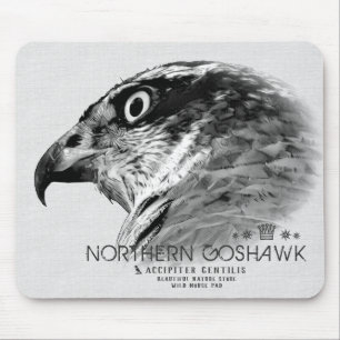 Mousepad Gavião-de-asa-curta