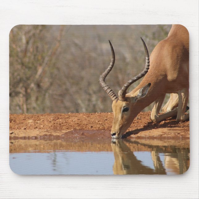 Mousepad Gazelle (Frente)