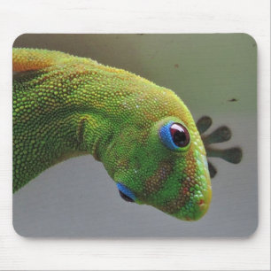Mousepad Gecko de poeira Dourada