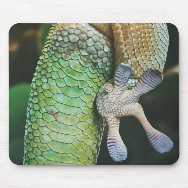 Mousepad Gecko Feet (Frente)