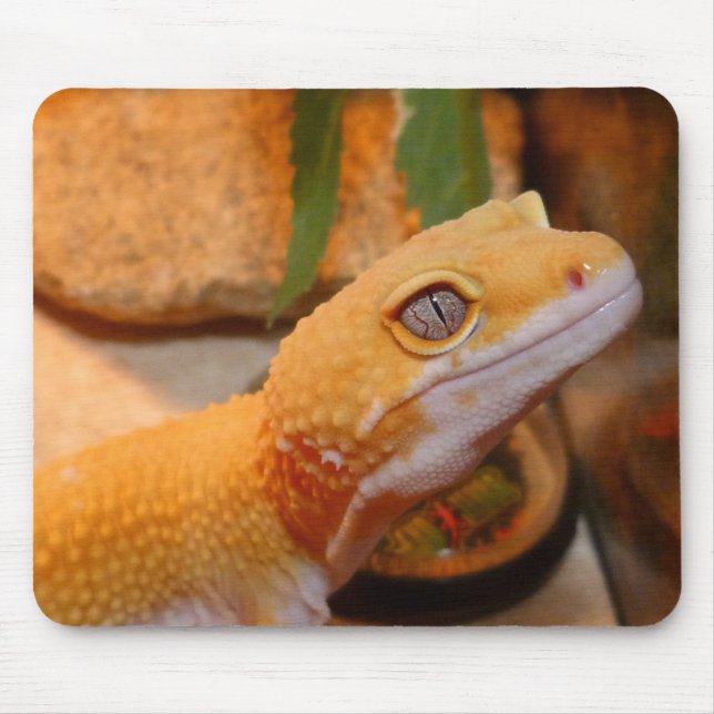 Mousepad Gecko Leopardo Amarelo (Frente)