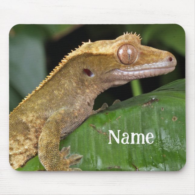 Mousepad Gecko Pet Lizard preso personalizado (Frente)