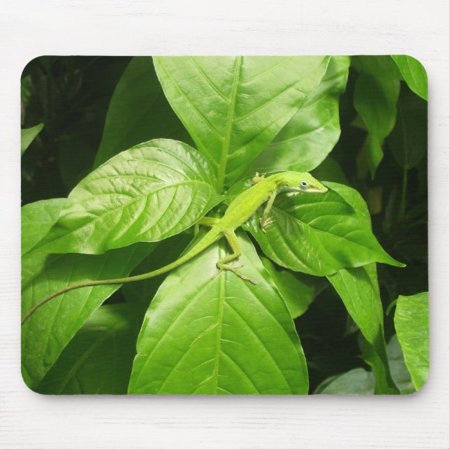 Mousepad Geco (Frente)