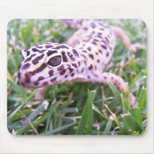 Mousepad Geco do leopardo