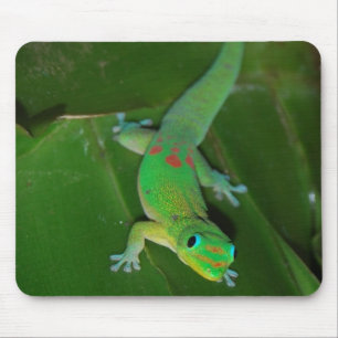 Mousepad Geco verde em Havaí