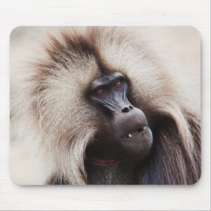 Mousepad Gelada Baboon, Ethiopia