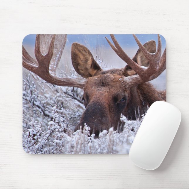 Mousepad Gelo e neve | Grand Teton National Park, Wyoming (Com mouse)
