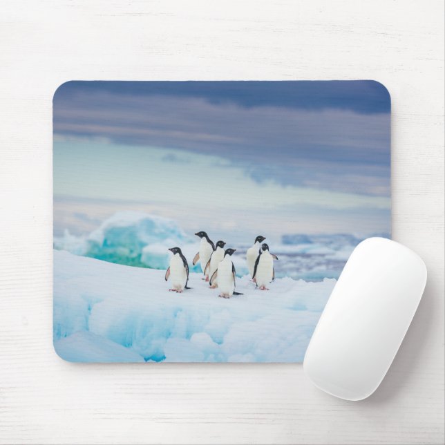 Mousepad Gelo e neve | Pinguins de adenda Antártica (Com mouse)