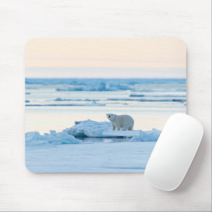 Mousepad Gelo e neve Polar Bear Iceberg Noruega