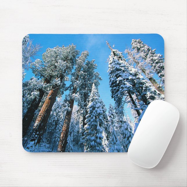 Mousepad Gelo e neve | Sequoia National Park, Califórnia (Com mouse)