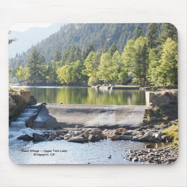 Mousepad gêmeo superior (Frente)