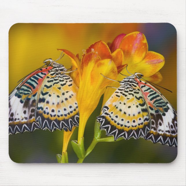 Mousepad Gêmeos de Borboleta Tropical (Frente)