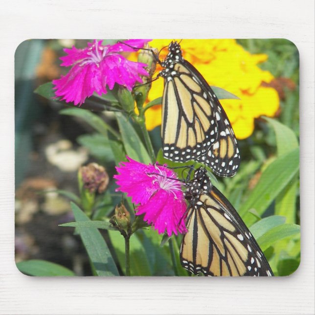 Mousepad Gêmeos Monarcas #2 (Frente)