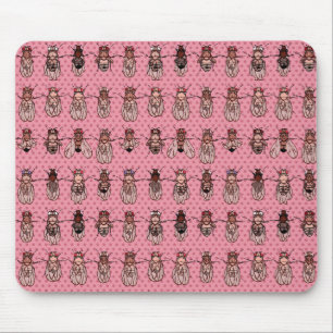 Mousepad Genética da mosca de fruta da drosófila - mutant