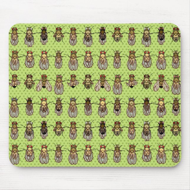 Mousepad Genética da mosca de fruta da drosófila - mutantes (Frente)