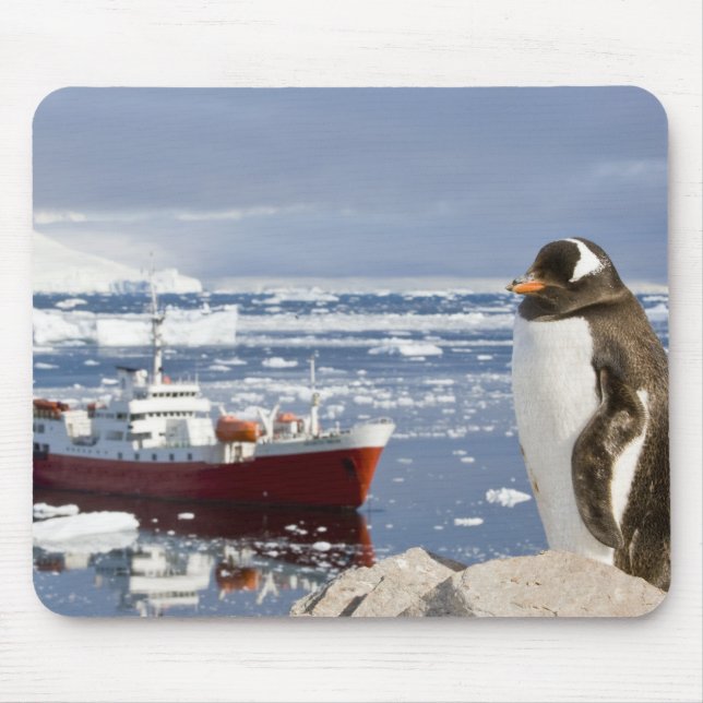 Mousepad Gentoo Penguin (Frente)