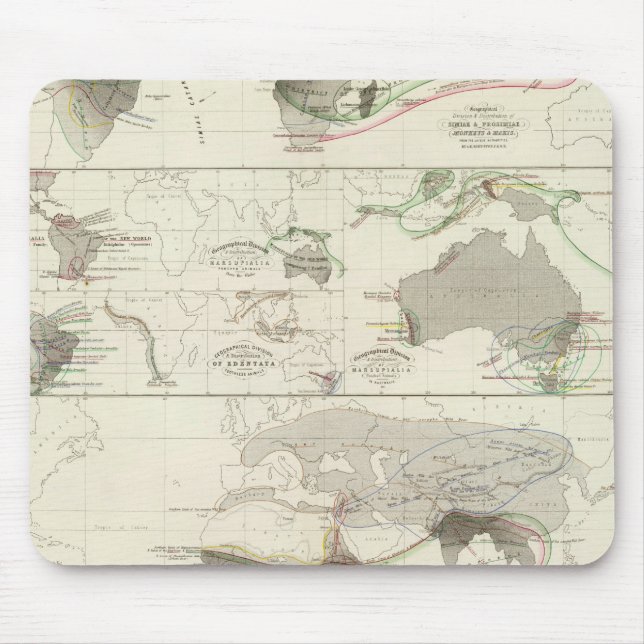 Mousepad Geografia zoológica (Frente)
