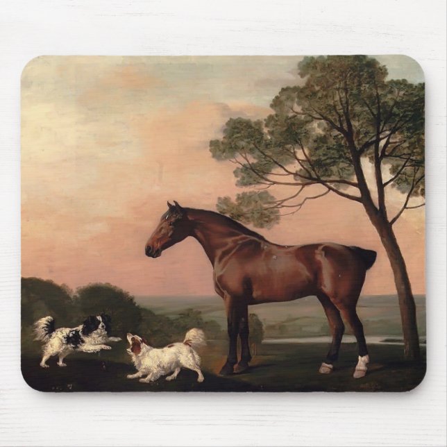 Mousepad George Stubbs- um caçador da baía com dois (Frente)