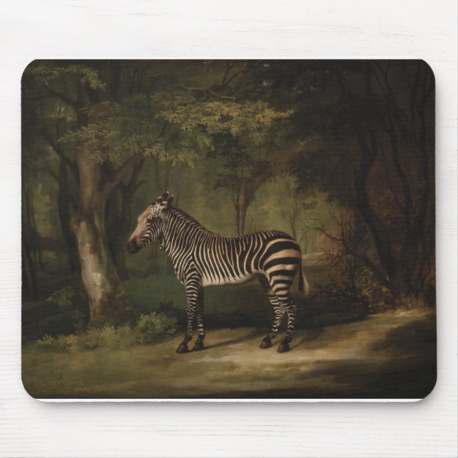 Mousepad George Stubbs - Zebra (Frente)