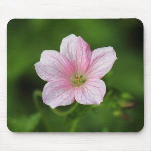 Mousepad Gerânio