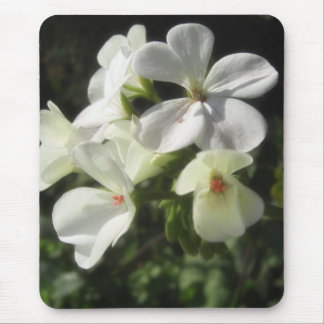 Mousepad Gerânio brancos 1 - prazeres simples