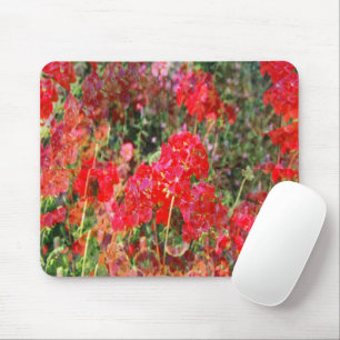 Mousepad Geraniuns em chamas...