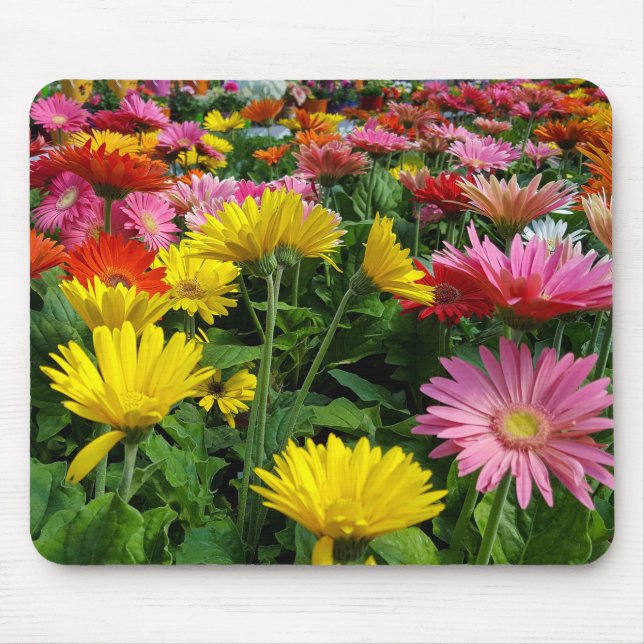 Mousepad Gerbera Daisy Garden (Frente)