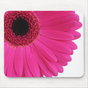 Mousepad Gerbera do rosa quente