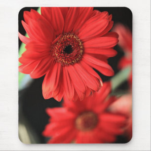 Mousepad Gerberas