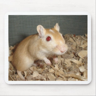 Mousepad Gerbil bonito