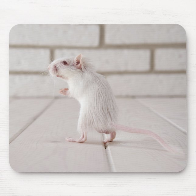 Mousepad Gerbil em pé (Frente)