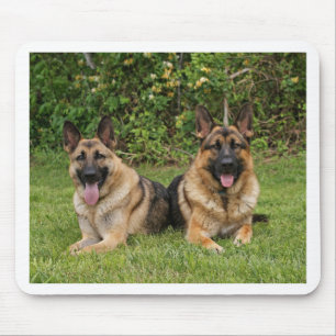Mousepad German shepherd