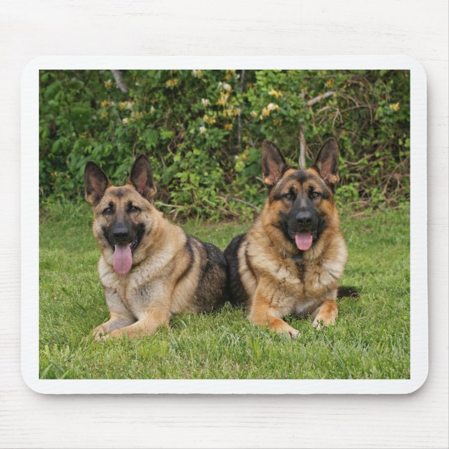 Mousepad German shepherd (Frente)