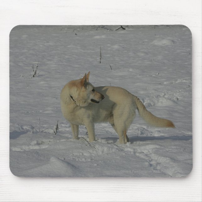 Mousepad German shepherd branco na neve (Frente)