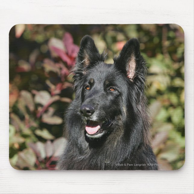 Mousepad German shepherd de cabelos compridos preto (Frente)