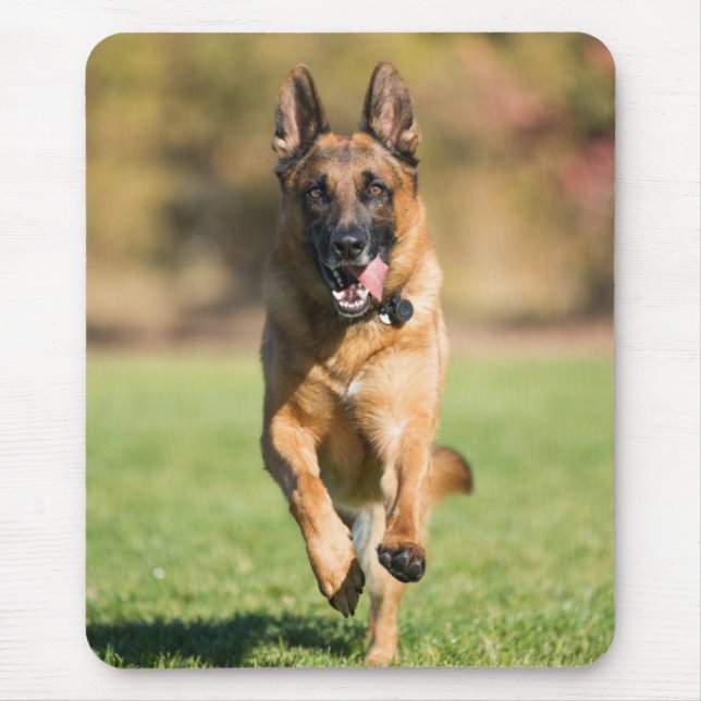Mousepad German shepherd em execução (Frente)