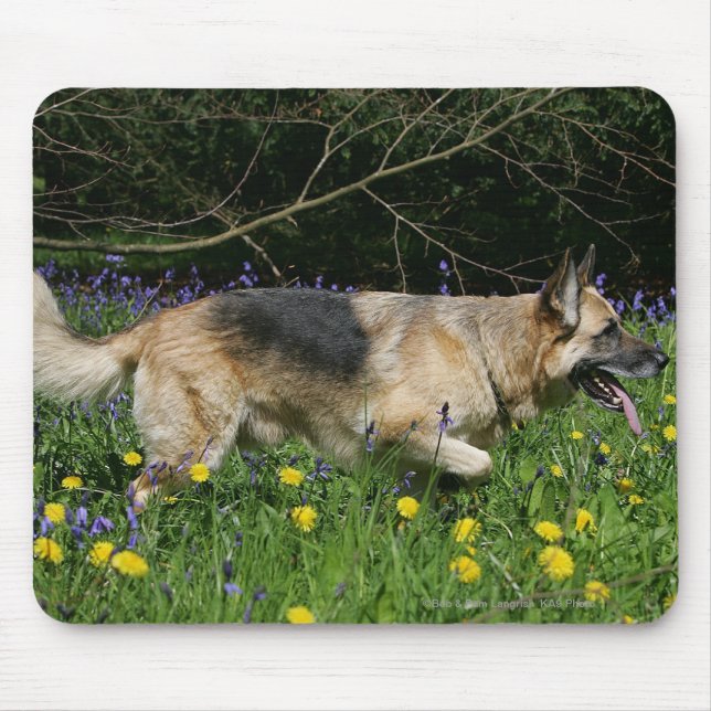 Mousepad German shepherd em flores amarelas (Frente)