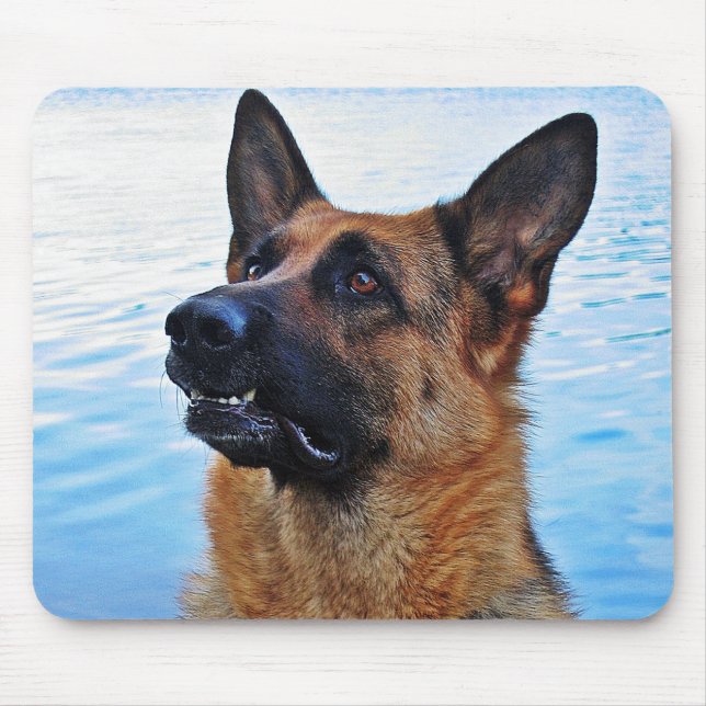 Mousepad German shepherd - mouspad do cão (Frente)