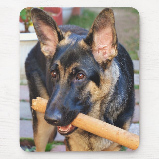 Mousepad German shepherd por Shirley Taylor (Frente)