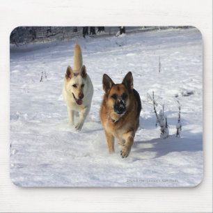Mousepad German shepherd que funcionam na neve