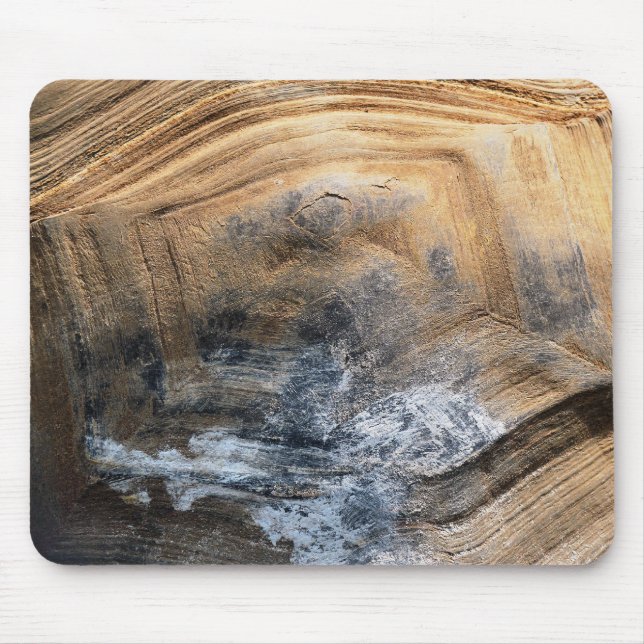 MOUSEPAD GIANT TORTOISE SHELL (Frente)