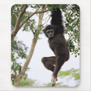 Mousepad Gibbon Swing de Árvore