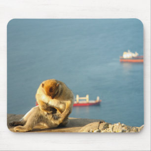 Mousepad Gibraltar Barbary