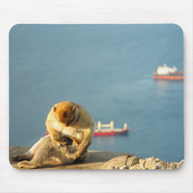 Mousepad Gibraltar Barbary (Frente)