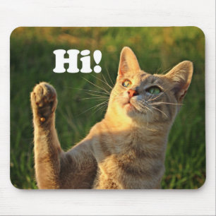 Mousepad Ginger Cat Dizendo Oi!