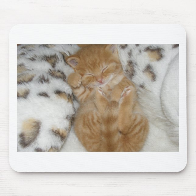 Mousepad Ginger Ginger Ginger Sleting Kitten Super Bonito (Frente)