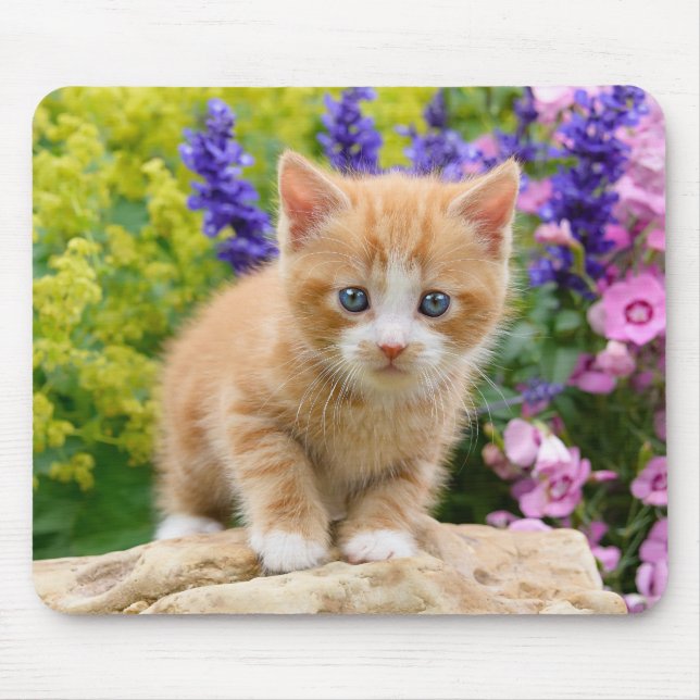 Mousepad Ginger Ginger Kitten no retrato do Jardim de Flore (Frente)